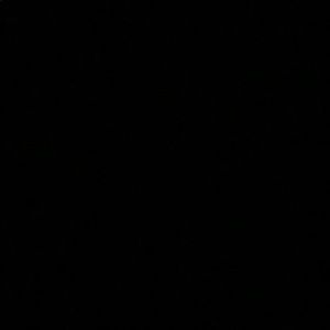 Meet your Posher, Dawson